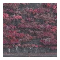 Sleep Token-Even In Arcadia