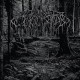 Wolves In The Throne Room-2005 Demo