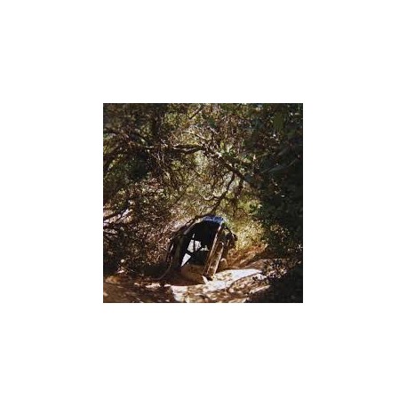 Ty Segall-Possession