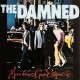 Damned-Machine Gun Etiquette