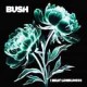 Bush-I Beat Loneliness