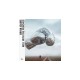 Bryan Adams-Roll With The Punches