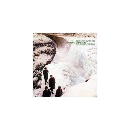 Echo & the Bunnymen-Porcupine