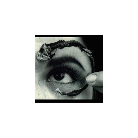 Mr. Bungle-Disco Volante