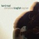 Christone "Kingfish" Ingram-Hard Road