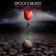 Spock's Beard-The Archaeoptimist