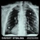 Idles-O.S.T. Caught Stealing