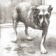 Alice In Chains-Alice In Chains