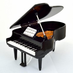 Strumenti Musicali-Pianoforte A Coda Nero