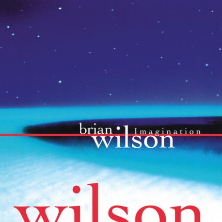 Brian Wilson-Imagination