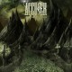 Accuser-Forlorn Divide