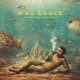 Max Gazze-L'Ornamento Delle Cose Secondarie