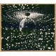 Neil Young-Mirror Ball