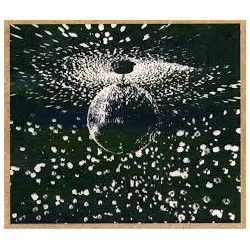 Neil Young-Mirror Ball