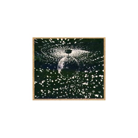 Neil Young-Mirror Ball