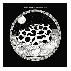 Modest Mouse-An Eraser And A Maze