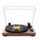 Giradischi (Turntable)-Turntable Rline RLTN11GB (Giradischi) Black (Nero Lucido)