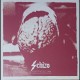 Schizo-Before The Collapse