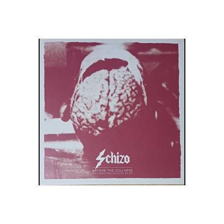 Schizo-Before The Collapse