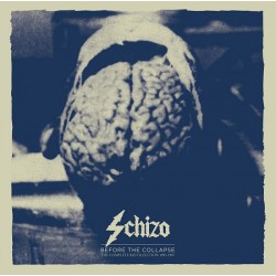 Schizo-Before The Collapse