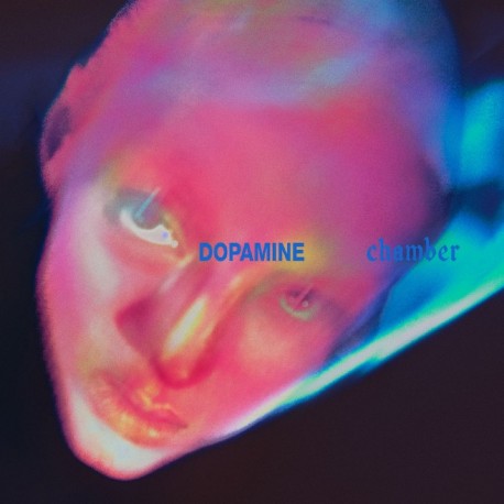 Fontaines D.C.-Dopamine Chamber