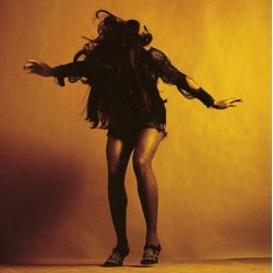Last Shadow Puppets-Everything You've Come To Expect