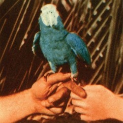 Andrew Bird-Are You Serious