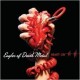 Eagles of Death Metal - Heart On