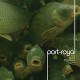 Port-Royal-You Ware Nowhere