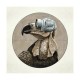 Protest The Hero-Volition