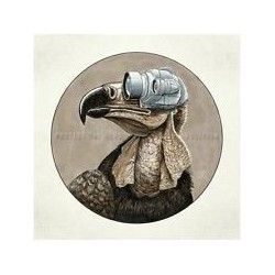 Protest The Hero-Volition