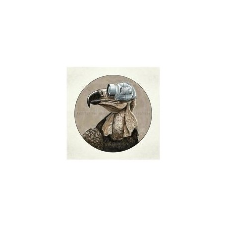 Protest The Hero-Volition