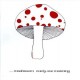 Mushroom-Early One Morning