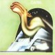Camel-Camel