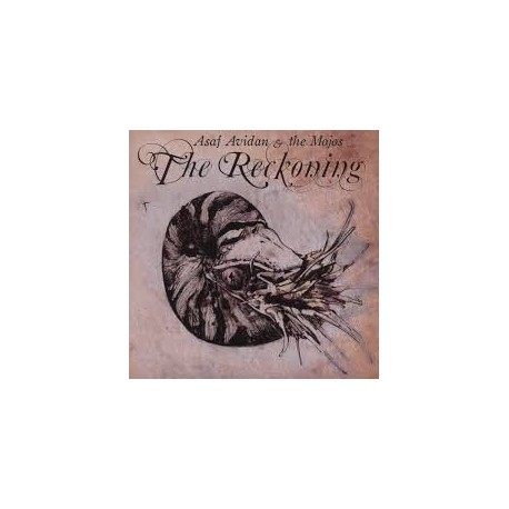 Asaf Avidan & The Mojos-Reckoning