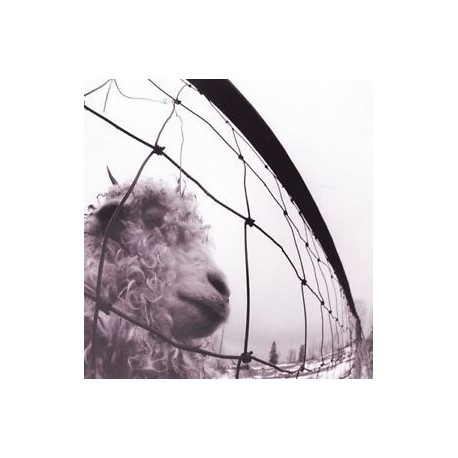 Pearl Jam-VS