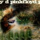 Pink Floyd-A Saucerful Of Secrets
