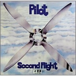 Pilot (1)-Second Flight