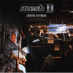 Mesh-Looking Skyward