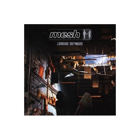 Mesh-Looking Skyward