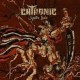 Chthonic-Seediq Bale