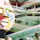 Alan Parsons Project-I Robot